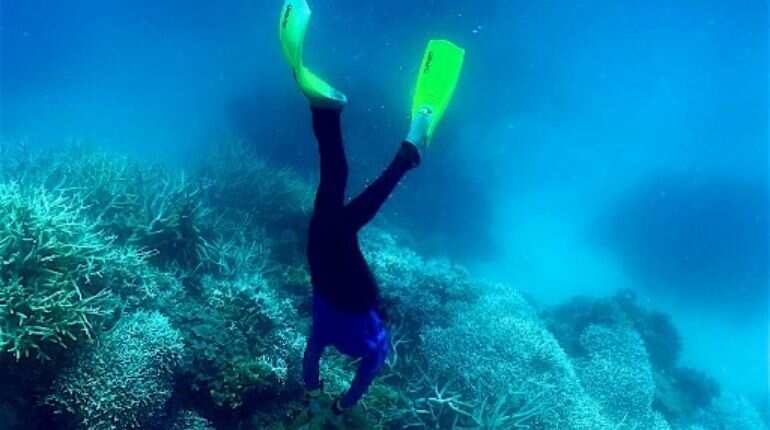 Great Barrier Reef suffers 'widespread' bleaching event Great Barrier Reef suffers 'widespread' bleaching event