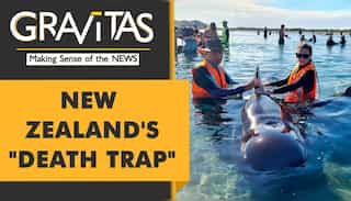 Gravitas: Dozens of Whales die in a mass stranding