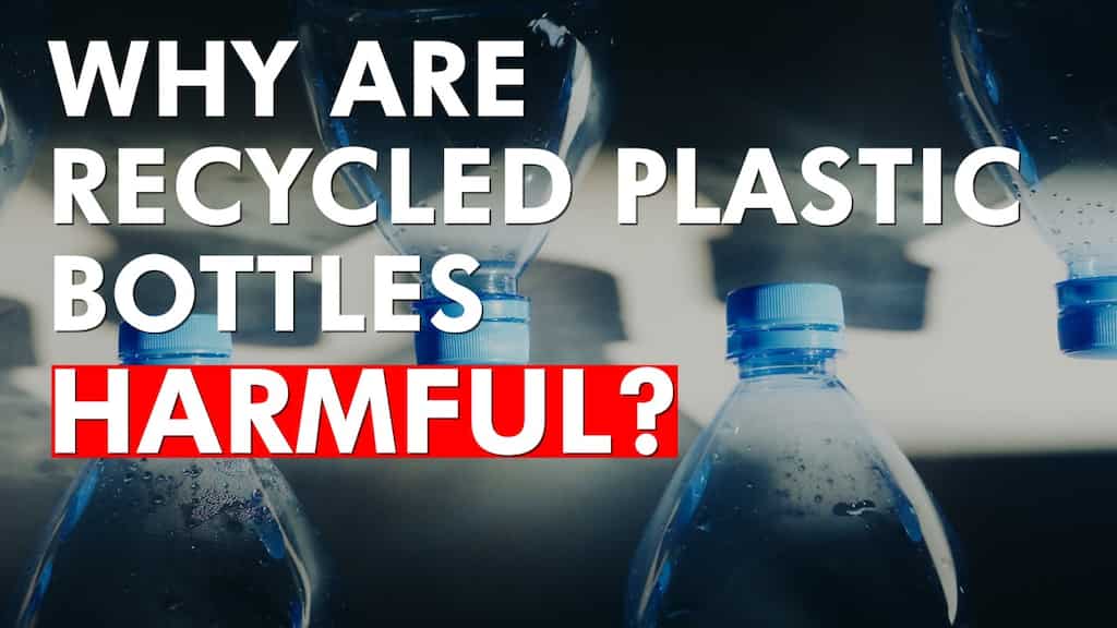 Why are recycled plastic bottles harmful?