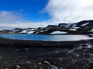 ‘Unprecedented’ heatwaves recorded at Earth’s poles, scientists warn of climate calamity