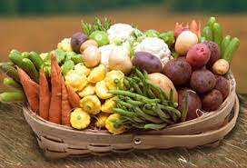 Rome: Vegetable gardens see fresh interest, gardening to beat covid-19 pandemic isolation