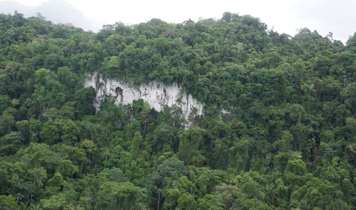 Human migration brought maize to Maya region, study finds