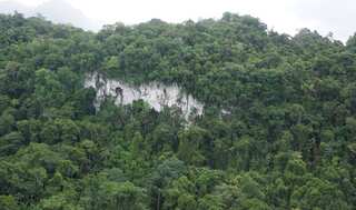 Human migration brought maize to Maya region, study finds