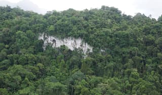Human migration brought maize to Maya region, study finds