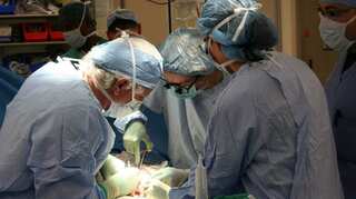 Transplantation of organs from deceased COVID-19 patients is safe and possible. Here's how