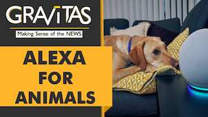 Gravitas: What if you could understand the language of animals? AI can do that now