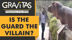 Gravitas: Video of a security guard slapping a hippo goes viral