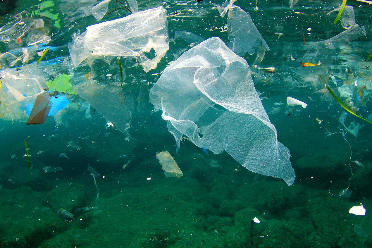 Plastic Beauty and the beast; How can we solve plastic pollution