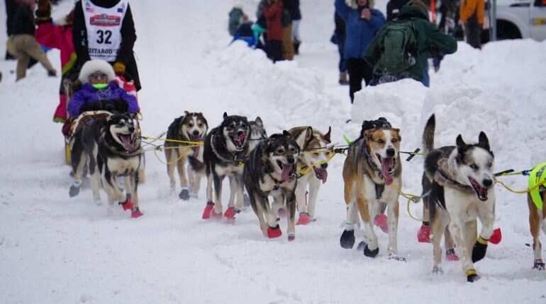 'Iditarod Trail Sled Dog' race: 3 mushers shelter canines in winter storm, get penalised 'Iditarod Trail Sled Dog' race: 3 mushers shelter canines in winter storm, get penalised
