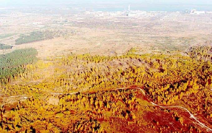 Russians drove through 'Red Forest', Chernobyl workers report incident from last February
