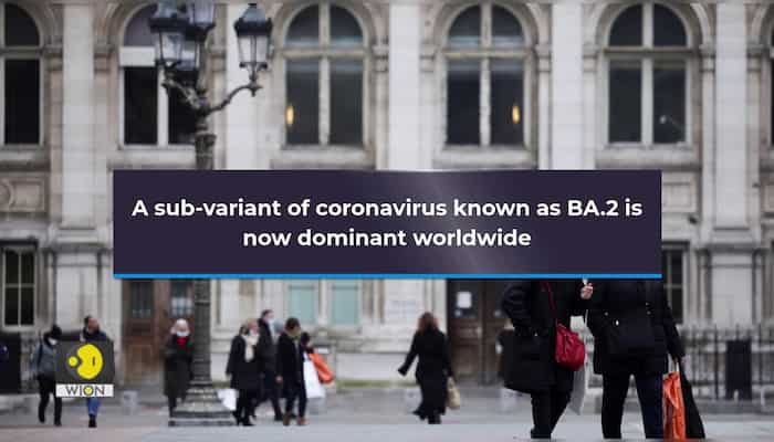 Covid: 'Stealth' Omicron variant BA.2 is now globally dominant