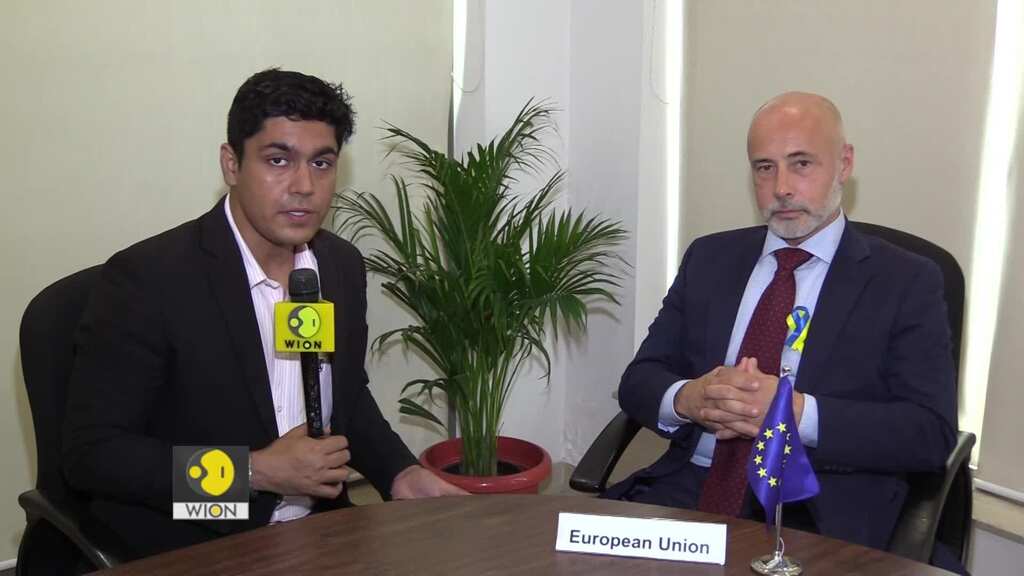 War in Ukraine enhances EU's resolve to act in Indo Pacific, says top diplomat
