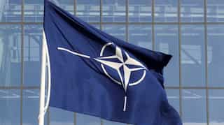 Germany downplays Sweden, Finland's NATO bid expectation: Report