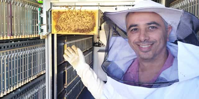 Israeli-based startup 'Beewise' aims to revive the disappearing bee population
