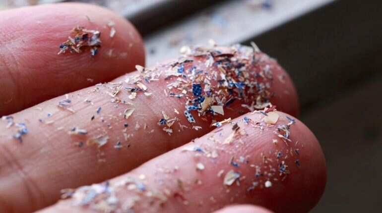 After blood, presence of microplastics detected in human lungs