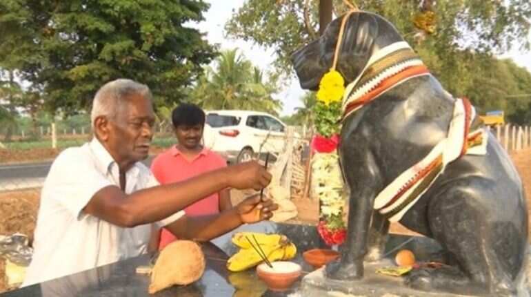 Watch: Indian man constructs temple for pet dog in Tamil Nadu state 