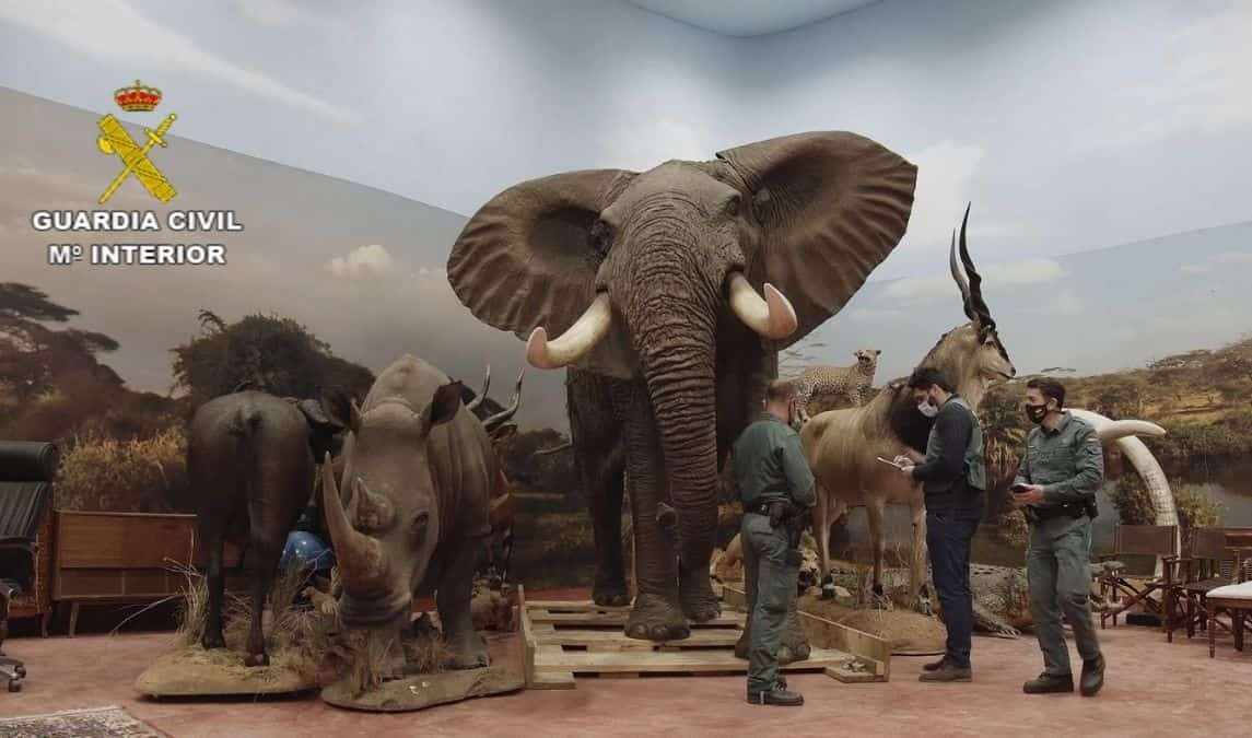 CITES protected species