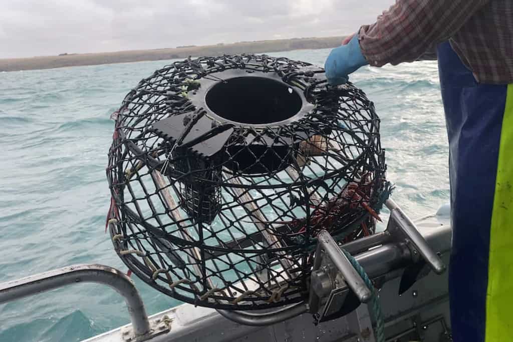 Fishermen in Australia switch to plastic-free fishing