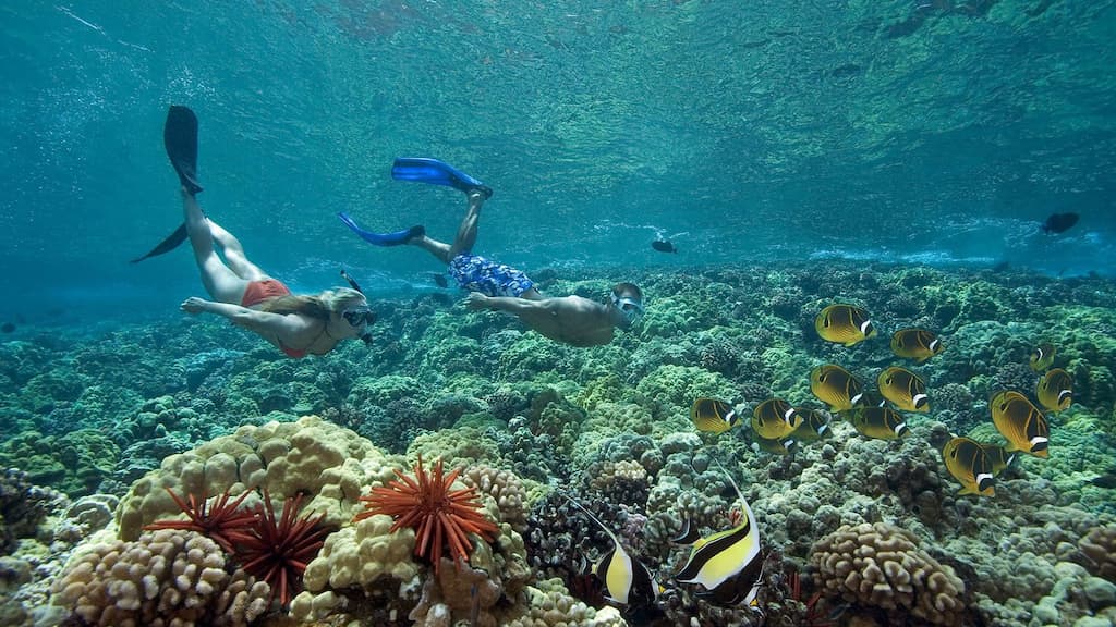 Study: Sunscreen chemicals accumulating in Mediterranean seagrass