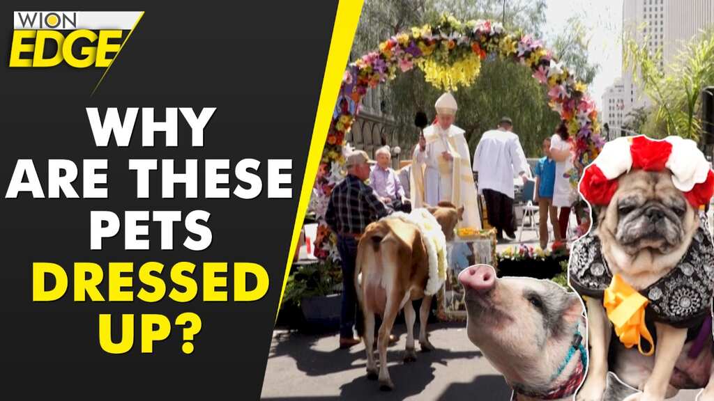 Easter blessings for the pets!