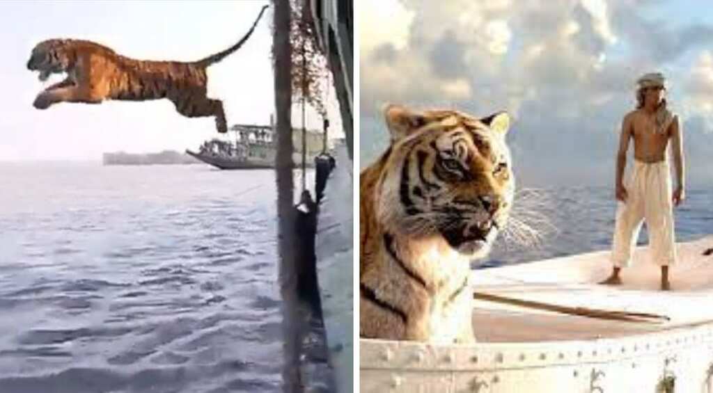 Watch: Tiger jumps off a boat in Sunderban and swims to shore, reminds Twitter of 'Life Of Pi'