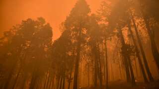 Carbon monoxide levels spike due to billowing smoke from wildfires fueled by climate change: Study