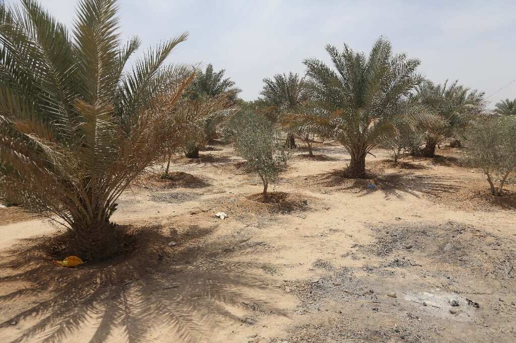 Climate crisis a big threat for Iraq, funding for green belt project is halted