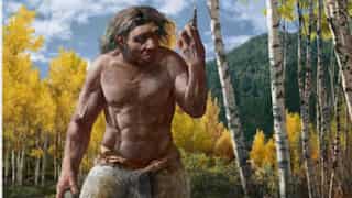 Climate change shaped human evolution's last 2 million years