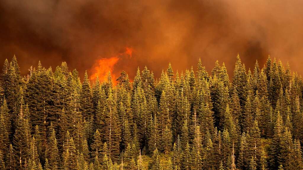 Wildfire turn structures into ashes, blanket of smoke covers parts of Arizona