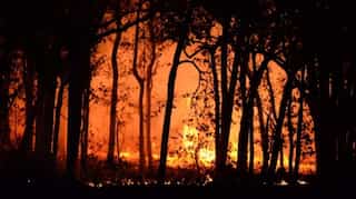 EU overstated climate spending, say European Court auditors