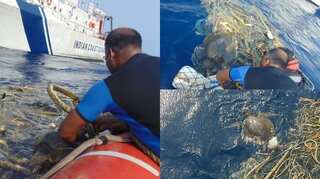 Watch: Indian Coast Guard ship spots endangered turtle being stuck in net mid-sea, sets it free  