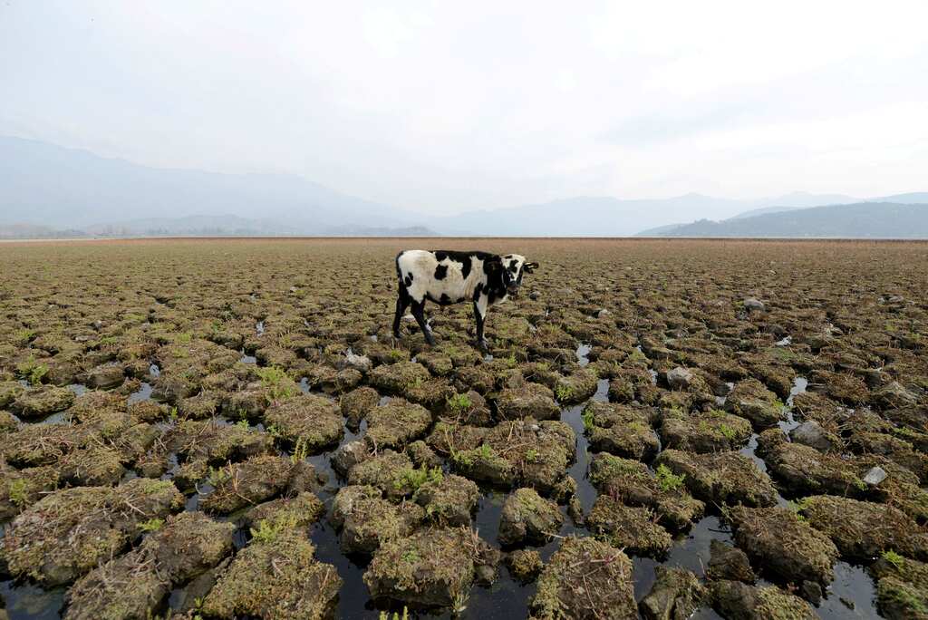 Climate change causes extended drought as Chile faces its worst drought in history