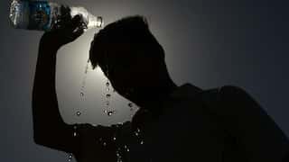 Heat wave warnings issued in five Indian states as temperatures soar over 45 degrees Celsius