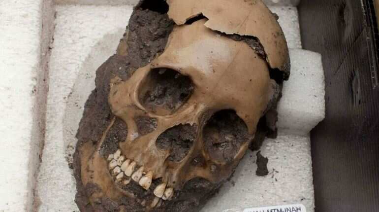 A crime scene? 150 skulls found in Mexican cave turn out to be remains of sacrificial victims from AD 900