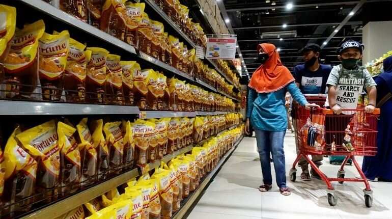 As 290,000-tonne shipments get trapped, Indonesian palm oil export ban to hit India badly As 290,000-tonne shipments get trapped, Indonesian palm oil export ban to hit India badly