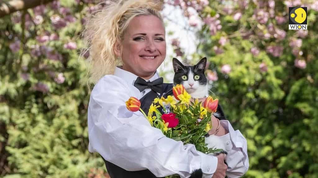UK woman marries a cat to stop landlords from separating them