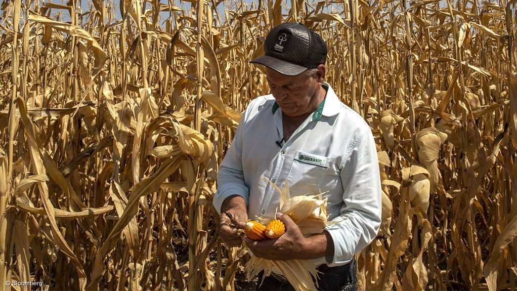 Ukraine-Russia war: Rising food prices stoke the risk of unrest in Africa