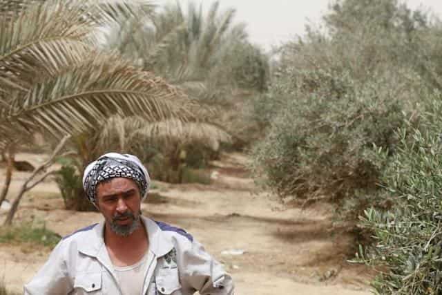 Climate Crisis: Iraq's green belt left barren