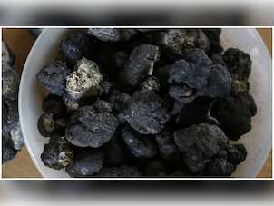 The next gold rush: Deep sea mining is lucrative, but dangerous to environment