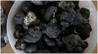 The next gold rush: Deep sea mining is lucrative, but dangerous to environment