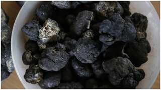 The next gold rush: Deep sea mining is lucrative, but dangerous to environment