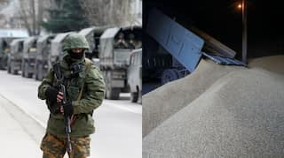 Russian forces stole huge amount of grain from occupied territory, alleges Ukraine