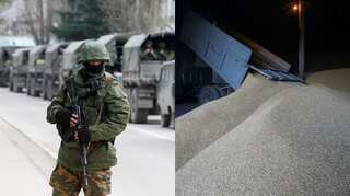 Russian forces stole huge amount of grain from occupied territory, alleges Ukraine