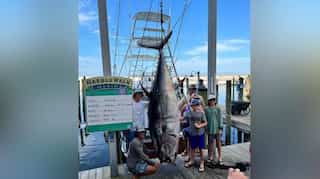 US fishermen catch 832-pound bluefin tuna in Gulf of Mexico, look to set new state record  