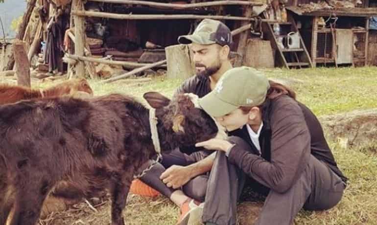 Animal lover