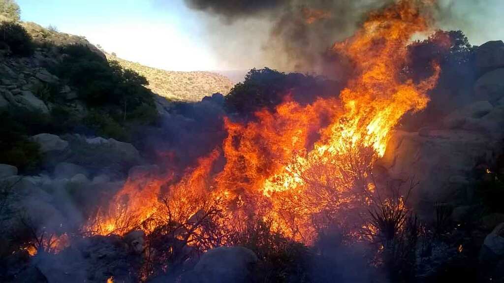 Raging wildfire prompt evacuations in New Mexico