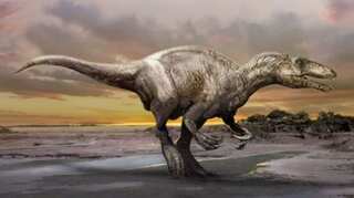 ‘Maip macrothorax’: Largest raptor dinosaur’s remains found by paleontologists   