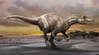 ‘Maip macrothorax’: Largest raptor dinosaur’s remains found by paleontologists   