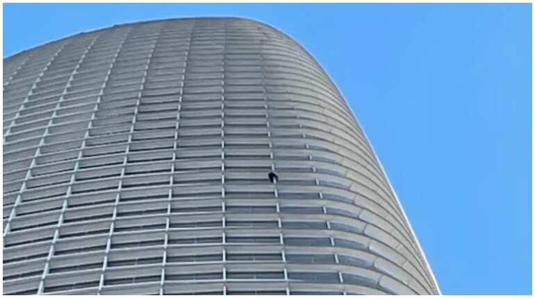 Anti-abortion, 'Pro-life Spider-Man', climbs 60-Storey tower in San Francisco