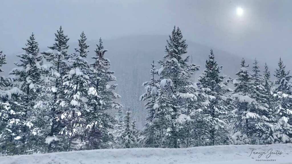 Snow Mapping in Colorado: Water managers use method to check water stored in snow